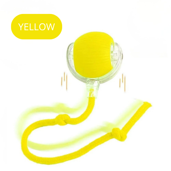 SmartTail Ball