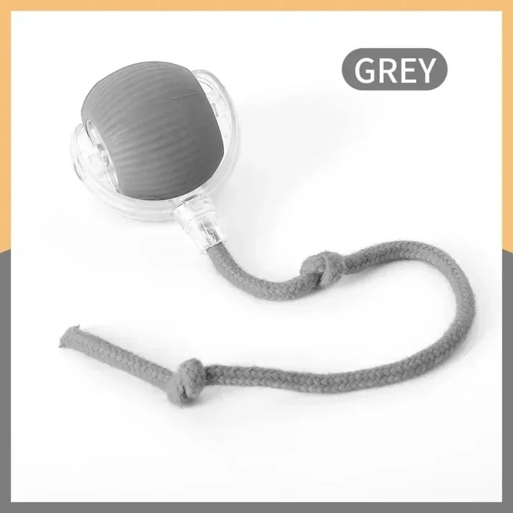 SmartTail Ball