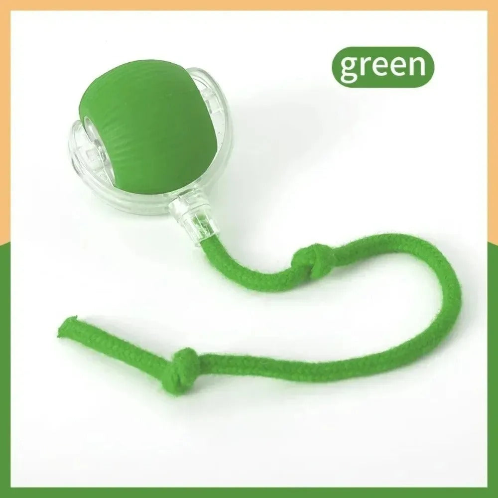 SmartTail Ball