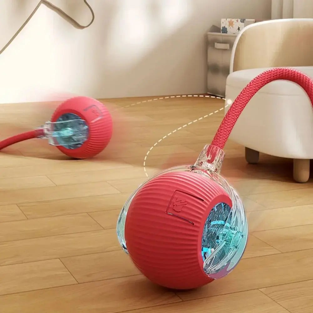 SmartTail Ball