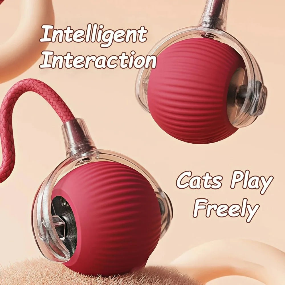 SmartTail Ball