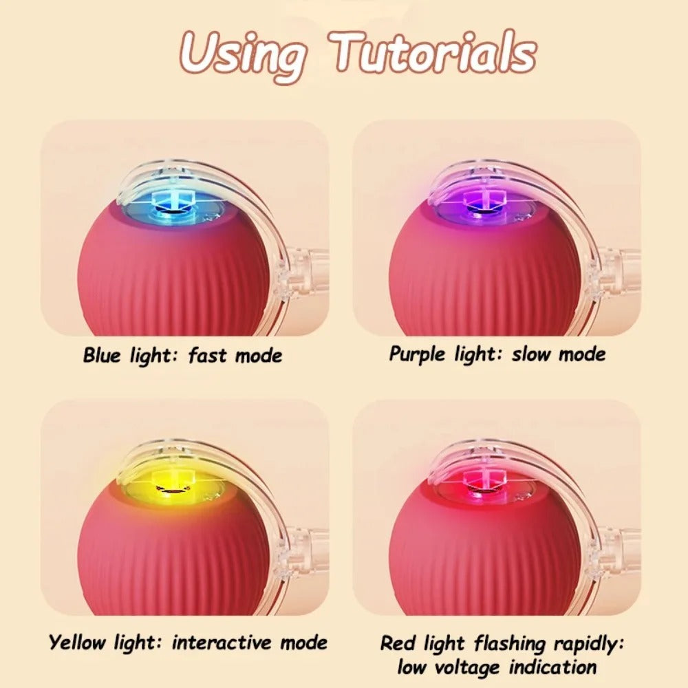 SmartTail Ball