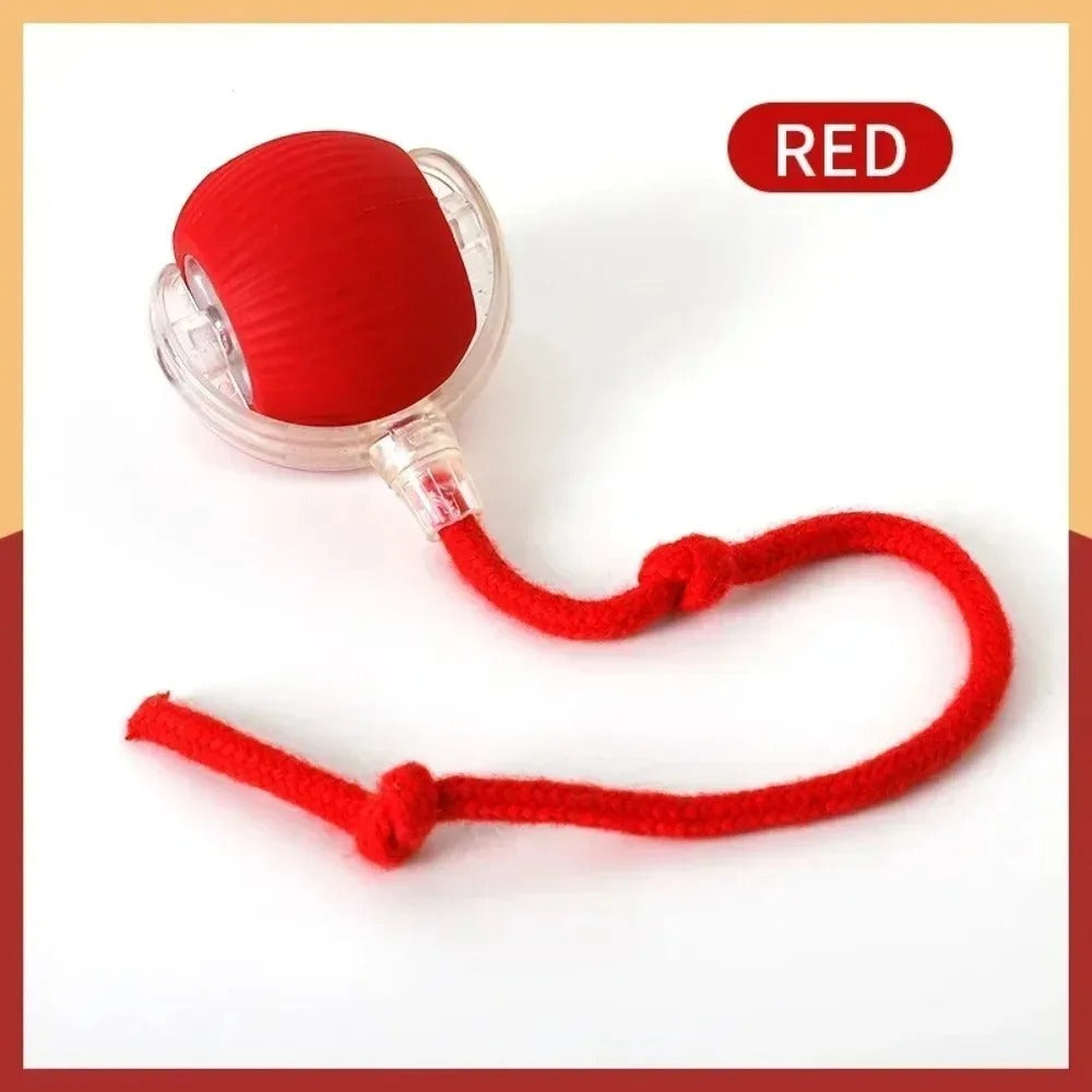 SmartTail Ball