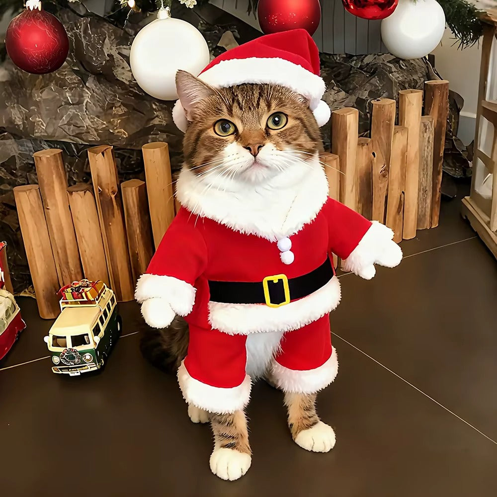 Costume SantaPaws™ – Adorable costume de Noël pour chats et petits chiens