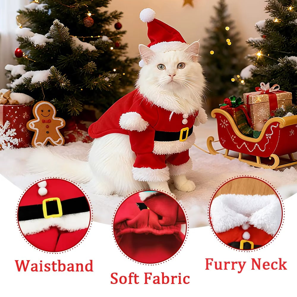 Costume SantaPaws™ – Adorable costume de Noël pour chats et petits chiens