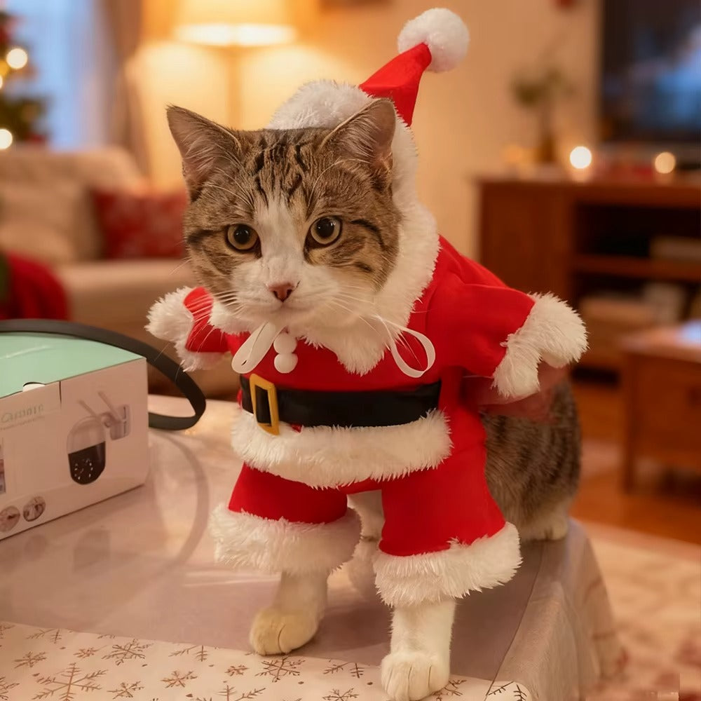 Costume SantaPaws™ – Adorable costume de Noël pour chats et petits chiens